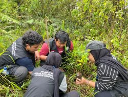 Kerja Sama Lestarikan Lingkungan, Mahasiswa KKN Reguler UAD Unit II A 2 dan Pemdes Batur Gelar Reboisasi