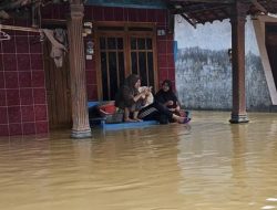 Banjir Rendam Ratusan Rumah di Pati Capai 1 Meter, Warga Enggan Mengungsi