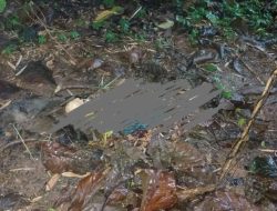 Misteri Penemuan Kerangka Perempuan di Jepara: Dugaan Identitas Mulai Terungkap
