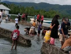 Banjir Parah di Desa Kabau Pantai: Warga dalam Kewaspadaan