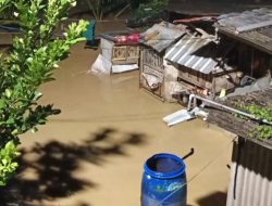 Banjir Kepung Desa Malangan Pati, Warga Panik Saat Subuh