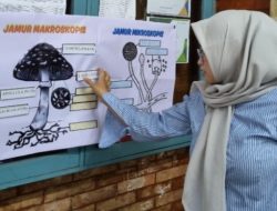 Jamur Matching Game: Inovasi Mahasiswa Biologi UIA Hadirkan Game Seru untuk Edukasi Jamur Lintas Jurusan