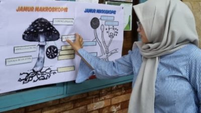Jamur Matching Game: Inovasi Mahasiswa Biologi UIA Hadirkan Game Seru untuk Edukasi Jamur Lintas Jurusan
