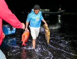 Obi Fishing Tournament 2025, Tangkapan Ikan Melimpah, Produktivitas Perairan Kawasi Terjaga