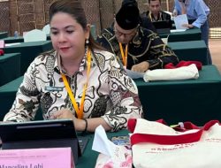 Kades Todowongi Harumkan Maluku Utara di Beijing, Bicara di Forum Internasional