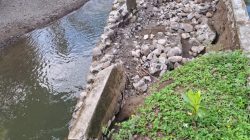 Talud Sungai di Desa Lola Roboh Diterjang Banjir Karena Hujan Deras, Warga Desak Pemerintah Bertindak Cepat