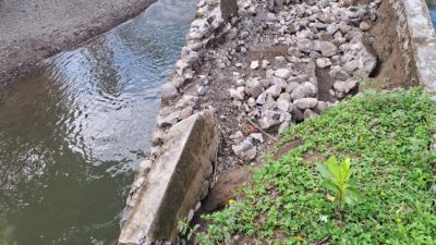 Talud Sungai di Desa Lola Roboh Diterjang Banjir Karena Hujan Deras, Warga Desak Pemerintah Bertindak Cepat