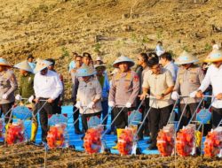 Distribusi Hingga Pembiayaan Polri Libatkan Koperasi Merah Putih Untuk Perkuat Posisi Tawar Petani Jagung