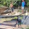 Penebangan Liar Menggila di Gane Timur. Pelaku Tantang Hukum, Aparat Dinilai Mandul
