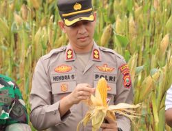 Kapolres Halsel Dukung Penuh Program Ketahanan Pangan Presiden Lewat Penanaman Jagung di Desa Tomori