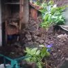 Talut Penahan Tanah Rumah Warga di Togolobe Ambruk, Kelurahan Diminta Bertindak Cepat
