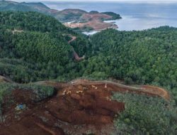 IUP Diduga Cacat Prosedur, PT Sumberdaya Arindo Dituding Langgar UU Minerba