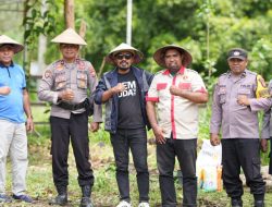 Sinergi Dukung Kemandirian Pangan, Pemuda Muhammadiyah dan Polres Halbar Tanam Jagung Bersama
