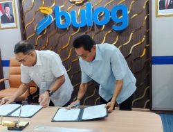 Penempatan Cabang Perum Bulog di Halmahera Selatan Dipusatkan di Bacan