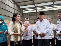 Inflasi Dipicu Beras dan Minyakita, Sherly Tjoanda Perintahkan Distribusi Merata di Malut