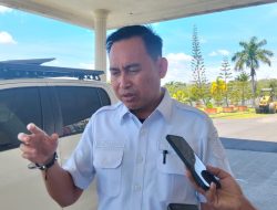 Kabar Gembira! Pemkab Haltim Buka Peluang Untuk 300 CPNS 2026, Ini Formasi Prioritasnya