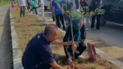 Salurkan Bibit Pohon, Senator Hasby Yusuf Apresiasi Komitmen Bupati Pulau Taliabu Jaga Lingkungan