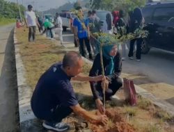 Salurkan Bibit Pohon, Senator Hasby Yusuf Apresiasi Komitmen Bupati Pulau Taliabu Jaga Lingkungan