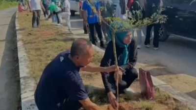 Salurkan Bibit Pohon, Senator Hasby Yusuf Apresiasi Komitmen Bupati Pulau Taliabu Jaga Lingkungan