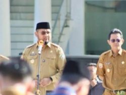 Gaji dan TPP ASN Halsel Dipastikan Aman Meski TKD Dipangkas 29 Persen