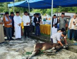 Pantau Penyembelihan Kurban, Wagub Sarbin Pastikan Proses Sesuai Syariat dan Standar Halal