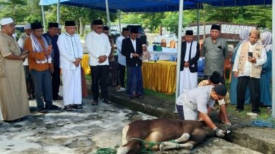 Pantau Penyembelihan Kurban, Wagub Sarbin Pastikan Proses Sesuai Syariat dan Standar Halal