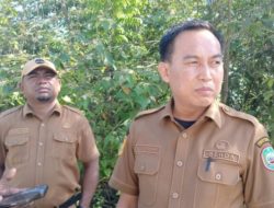 Diduga Jadi Pemicu Longsor, Sekda Haltim Minta Aktivitas PT Anglit Raya Dihentikan