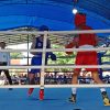 Cabor Tinju Porprov V Maluku Utara Resmi Dibuka, Rais Abas Tekankan Sportivitas dan Profesionalisme