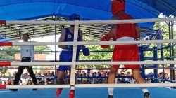 Cabor Tinju Porprov V Maluku Utara Resmi Dibuka, Rais Abas Tekankan Sportivitas dan Profesionalisme