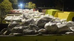 Pengangkutan Ribuan Karung Tanah melalui Pelabuhan Kupal Disorot, Legalitas Dokumen Dipertanyakan