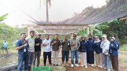Dua Tahun Dibina PT SDA, Budidaya Ikan Tawar Silolowa Tunjukkan Hasil Positif