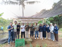 Dua Tahun Dibina PT SDA, Budidaya Ikan Tawar Silolowa Tunjukkan Hasil Positif