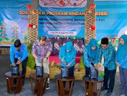BI Malut Ajak Warga Tanam Rica dan Kangkung untuk Kendalikan Inflasi Daerah