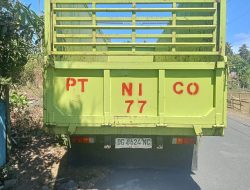 Truk PT Natural Indococonut Organik Tabrak Tiang PLN dan Kabel WiFi di Galela, Warga Tuntut Pertanggungjawaban