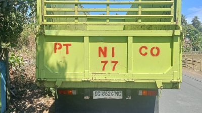 Truk PT Natural Indococonut Organik Tabrak Tiang PLN dan Kabel WiFi di Galela, Warga Tuntut Pertanggungjawaban