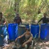 Polres Halmahera Selatan Musnahkan Lokasi Penyulingan Cap Tikus, Ratusan Liter Saguer Dimusnahkan