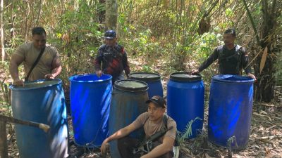 Polres Halmahera Selatan Musnahkan Lokasi Penyulingan Cap Tikus, Ratusan Liter Saguer Dimusnahkan