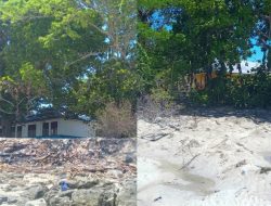 Abrasi Koloray Kian Mengkhawatirkan, Kinerja Kadis DLH Morotai Dipertanyakan