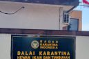 Kantor Balai Karantina Hewan Ikan dan Tumbuhan Maluku Utara. Dok. Agis.