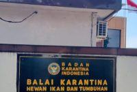 Kantor Balai Karantina Hewan Ikan dan Tumbuhan Maluku Utara. Dok. Agis.