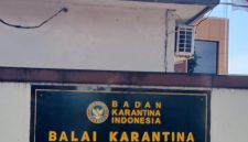 Kantor Balai Karantina Hewan Ikan dan Tumbuhan Maluku Utara. Dok. Agis.