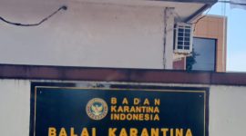 Kantor Balai Karantina Hewan Ikan dan Tumbuhan Maluku Utara. Dok. Agis.