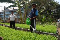 Anggota Lembaga Pemasyarakatan (Lapas) Kelas IIA Kota Ternate bersama warga binaan. Dlakukan kegiata penyiraman rica atau cabai, kangkung, terong, jagung, dan singkong. Senin, (28/09/28). Dok. Agis