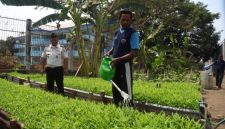 Anggota Lembaga Pemasyarakatan (Lapas) Kelas IIA Kota Ternate bersama warga binaan. Dlakukan kegiata penyiraman rica atau cabai, kangkung, terong, jagung, dan singkong. Senin, (28/09/28). Dok. Agis