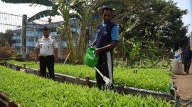 Anggota Lembaga Pemasyarakatan (Lapas) Kelas IIA Kota Ternate bersama warga binaan. Dlakukan kegiata penyiraman rica atau cabai, kangkung, terong, jagung, dan singkong. Senin, (28/09/28). Dok. Agis