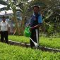 Anggota Lembaga Pemasyarakatan (Lapas) Kelas IIA Kota Ternate bersama warga binaan. Dlakukan kegiata penyiraman rica atau cabai, kangkung, terong, jagung, dan singkong. Senin, (28/09/28). Dok. Agis
