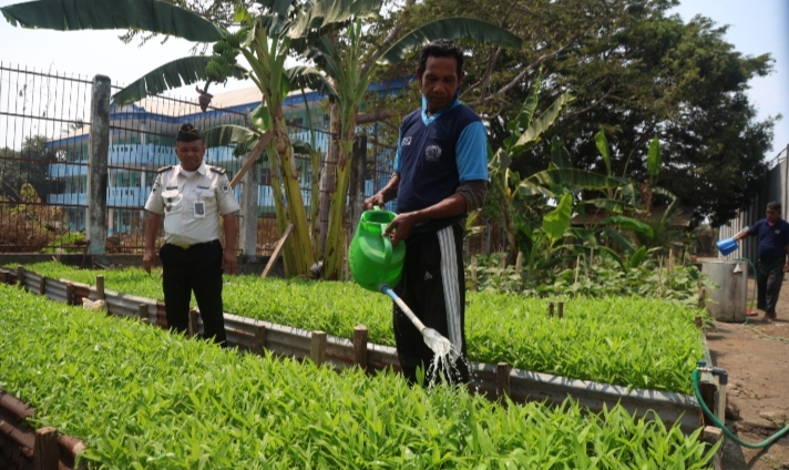 Anggota Lembaga Pemasyarakatan (Lapas) Kelas IIA Kota Ternate bersama warga binaan. Dlakukan kegiata penyiraman rica atau cabai, kangkung, terong, jagung, dan singkong. Senin, (28/09/28). Dok. Agis